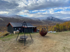 Koselig hytte på vakre Dovrefjell